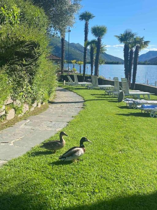 Holiday On The Lake Lugano 2-16 บิซโซน ภายนอก รูปภาพ